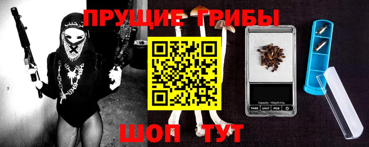 Долгопрудный  Псилоцибиновые грибы GOLDEN TEACHER  Псилоцибиновые грибы Cubensis  Вход с VPN 
